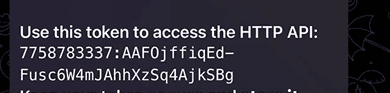 Step 7: Enter Token